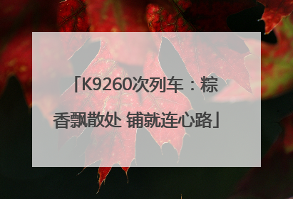 K9260次列车：粽香飘散处 铺就连心路