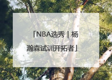 NBA选秀｜杨瀚森试训开拓者