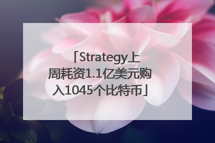 Strategy上周耗资1.1亿美元购入1045个比特币